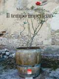 Il tempo imperfetto (Libro)